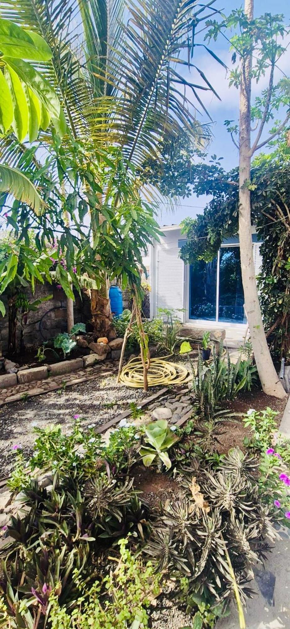 Casa Chiquinha Apartment Ribeira da Prata Exterior foto